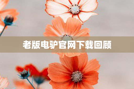 老版电驴官网下载回顾图片