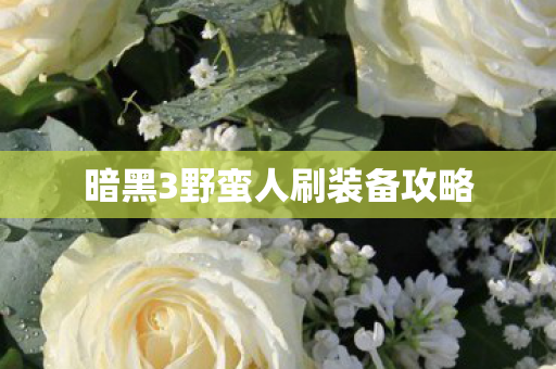 暗黑3野蛮人刷装备攻略图片