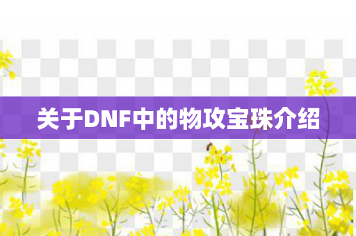 关于DNF中的物攻宝珠介绍图片