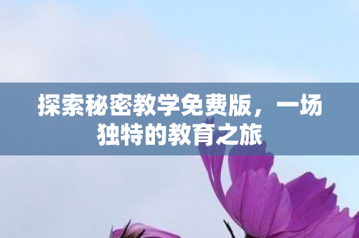 探索秘密教学免费版图片
