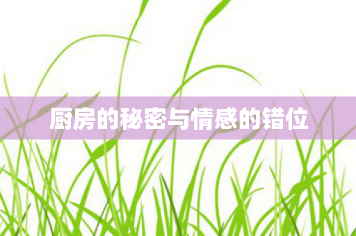 厨房的秘密与情感的错位图片