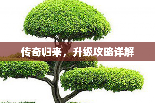 升级攻略详解图片
