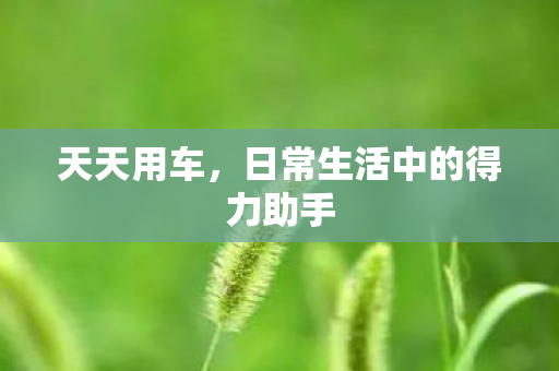 日常生活中的得力助手图片
