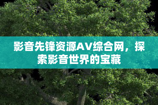 影音先锋资源AV综合网图片