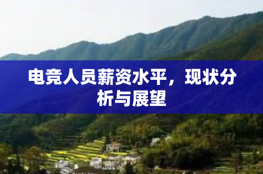 电竞人员薪资水平图片