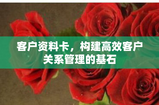 构建高效客户关系管理的基石图片