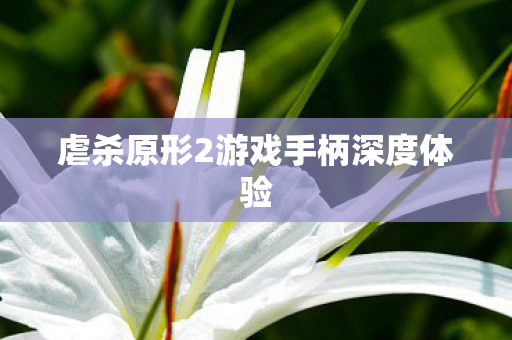 虐杀原形2游戏手柄深度体验图片