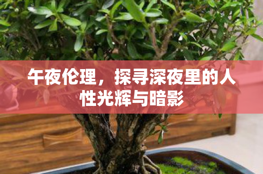 探寻深夜里的人性光辉与暗影图片