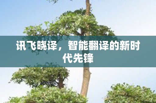 智能翻译的新时代先锋图片