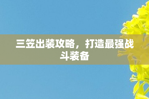打造最强战斗装备图片
