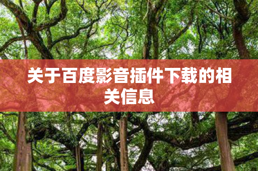 关于百度影音插件下载的相关信息图片