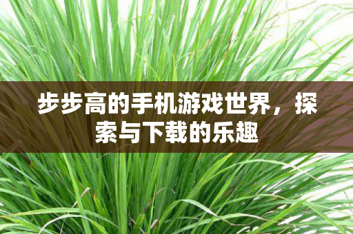 步步高的手机游戏世界图片