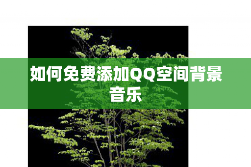 如何免费添加QQ空间背景音乐图片