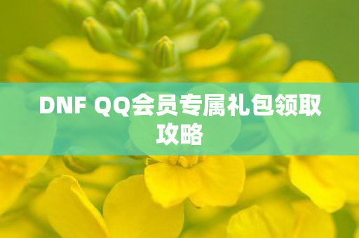 DNF QQ会员专属礼包领取攻略图片