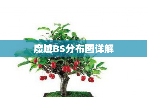魔域BS分布图详解图片
