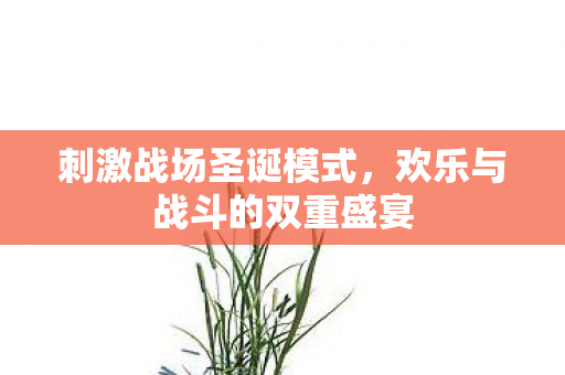 欢乐与战斗的双重盛宴图片