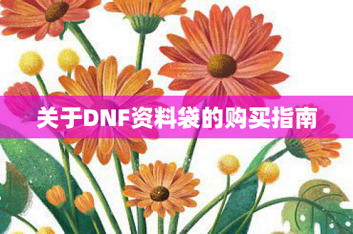 关于DNF资料袋的购买指南图片