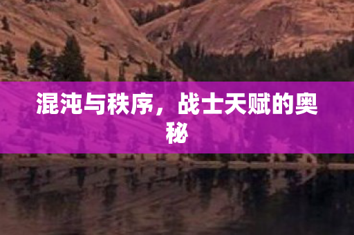 战士天赋的奥秘图片