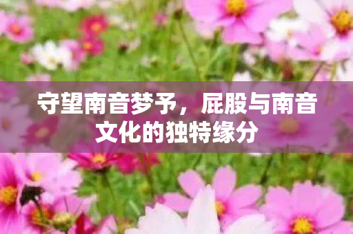 屁股与南音文化的独特缘分图片