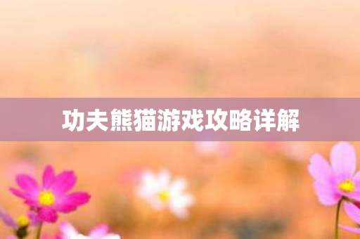 功夫熊猫游戏攻略详解图片