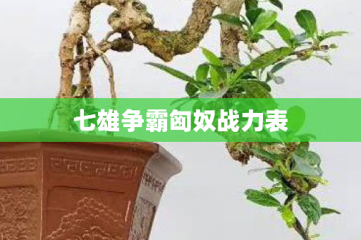 七雄争霸匈奴战力表图片