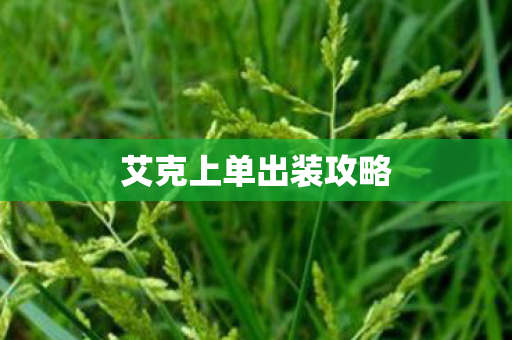 艾克上单出装攻略图片