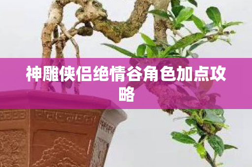 神雕侠侣绝情谷角色加点攻略图片