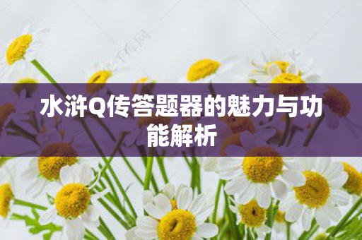 水浒Q传答题器的魅力与功能解析图片