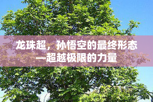 孙悟空的最终形态图片