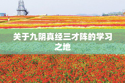 关于九阴真经三才阵的学习之地图片