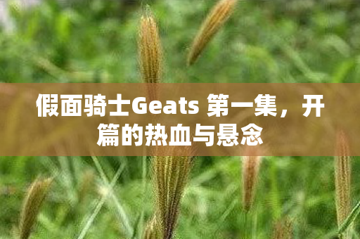 假面骑士Geats 第一集图片