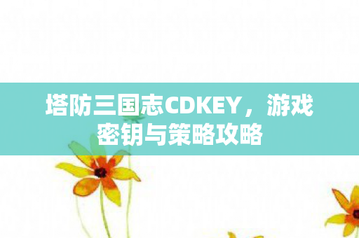 塔防三国志CDKEY图片