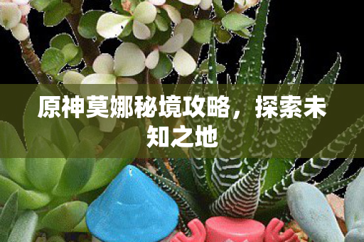 原神莫娜秘境攻略图片