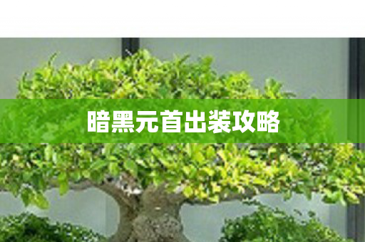 暗黑元首出装攻略图片
