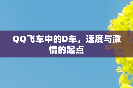 QQ飞车中的D车图片