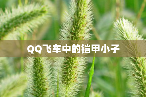 QQ飞车中的铠甲小子图片