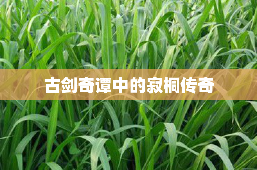 古剑奇谭中的寂桐传奇图片