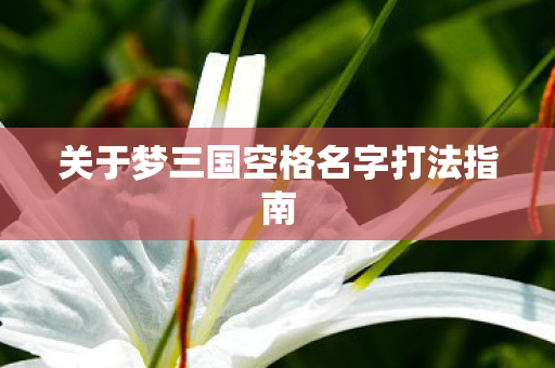 关于梦三国空格名字打法指南图片