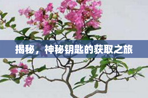 神秘钥匙的获取之旅图片