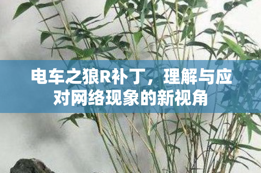 理解与应对网络现象的新视角图片
