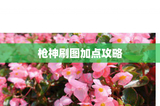枪神刷图加点攻略图片