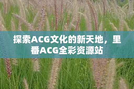 探索ACG文化的新天地图片