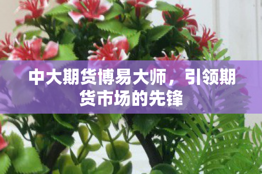引领期货市场的先锋图片
