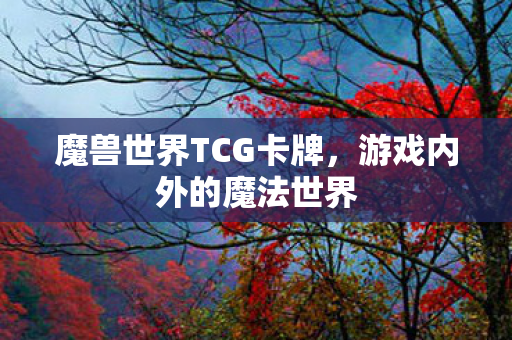 魔兽世界TCG卡牌图片