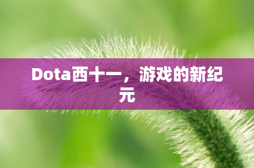 Dota西十一图片