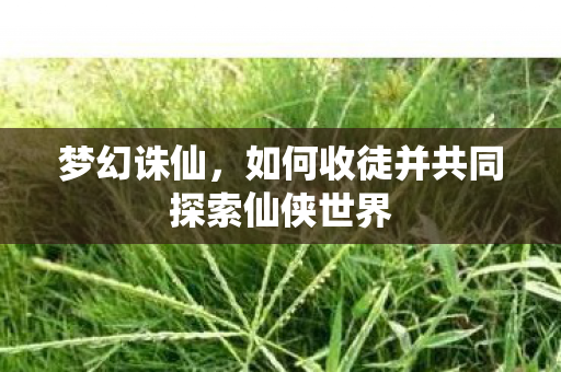 如何收徒并共同探索仙侠世界图片