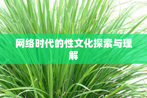 网络时代的性文化探索与理解图片
