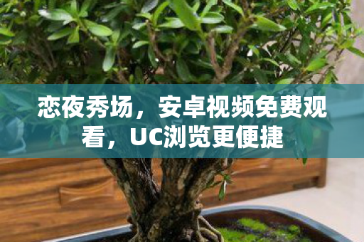 安卓视频免费观看图片