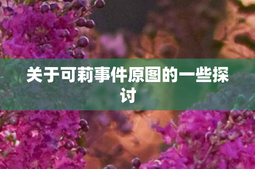 关于可莉事件原图的一些探讨图片