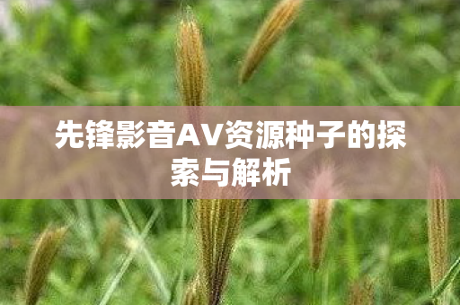 先锋影音AV资源种子的探索与解析图片